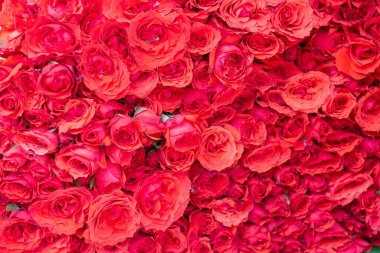 arka kırmızı gül buketi