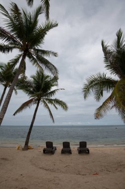 Ağaçlarla ve gökyüzüyle kumsal manzarası