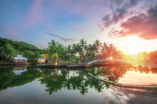 Island Resort Palm Trees Royalty Free Stock Images