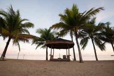Palmiye ağaçları olan ada tatil beldesi