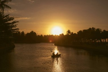 Palmiye ağaçları olan ada tatil beldesi