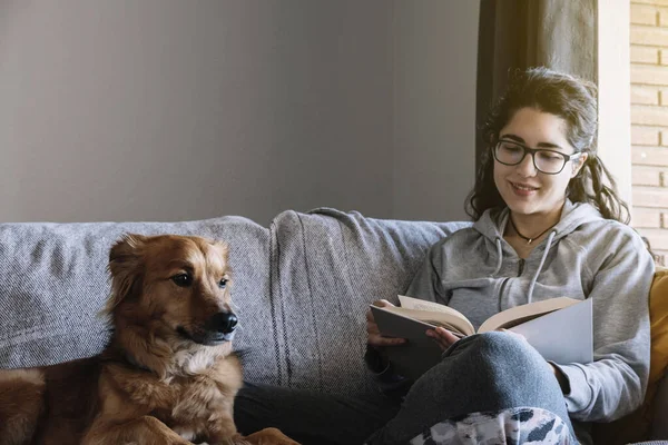 Mujer Joven Lee Libro Sentado Sofá Con Perro Concepto Relajación — Foto de Stock