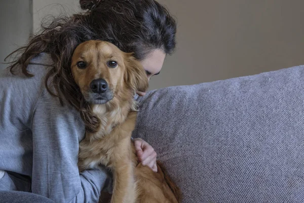 Mongrel Dog Looks Camera While His Owner Hugs Him Love — Stock Photo, Image