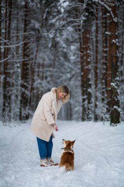 Genç sarışın dişi karlı bir ormanda Galli Corgi Pembroke 'uyla oynuyor..
