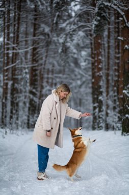 Genç sarışın dişi karlı bir ormanda Galli Corgi Pembroke 'uyla oynuyor..