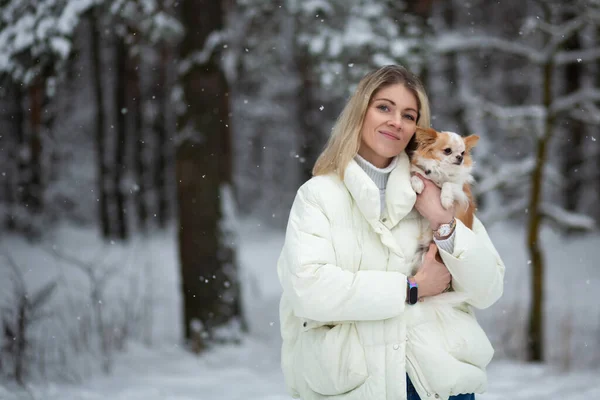 Blonde Young Female Holding Ginger White Chihuahua Her Hands Snow — Stock Photo, Image