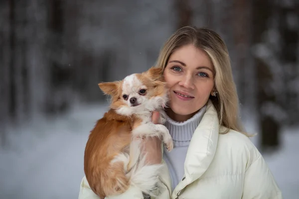 Blonde Young Female Holding Ginger White Chihuahua Her Hands Snow — Stock Photo, Image