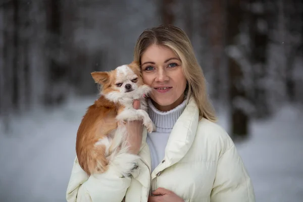 Blonde Young Female Holding Ginger White Chihuahua Her Hands Snow — Stock Photo, Image