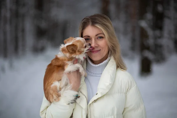 Blonde Young Female Holding Ginger White Chihuahua Her Hands Snow — Stock Photo, Image