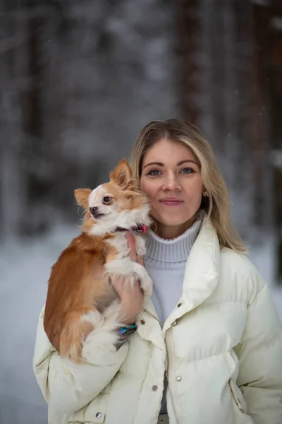 Blonde Young Female Holding Ginger White Chihuahua Her Hands Snow — Stock Photo, Image