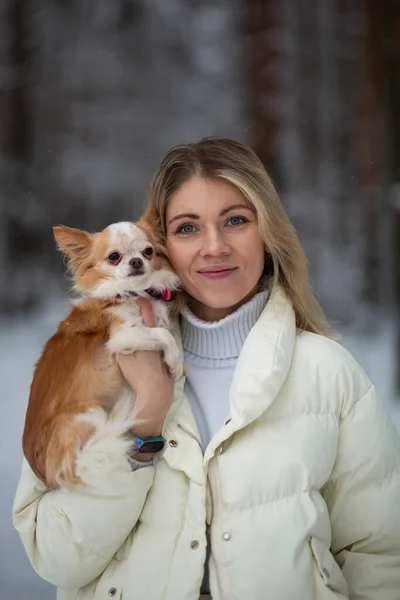 Blonde Young Female Holding Ginger White Chihuahua Her Hands Snow — Stock Photo, Image