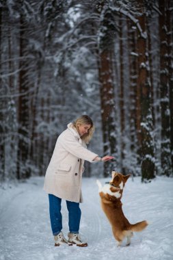 Genç sarışın dişi karlı bir ormanda Galli Corgi Pembroke 'uyla oynuyor..