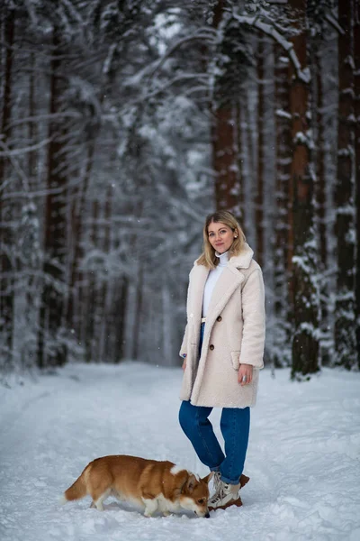 Joven Rubia Hembra Está Jugando Con Galés Corgi Pembroke Invierno — Foto de Stock