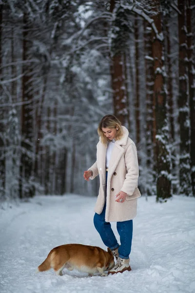 Young Blonde Female Playing Her Welsh Corgi Pembroke Winter Snowy — Stock Photo, Image