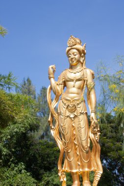 Guan yin