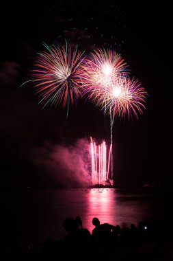 Çiçek açan havai fişek kutlama gece rengini karışık