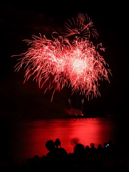 Fogos de artifício florescendo cor mista de noite celebração — Fotografia de Stock