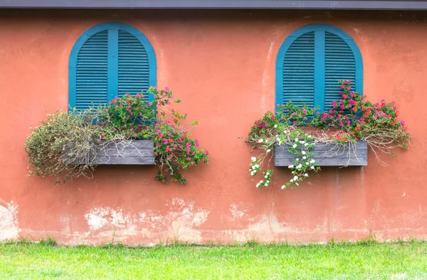 Fenêtre vintage bleue avec boîte à fleurs en bois sur mur orange — Photo