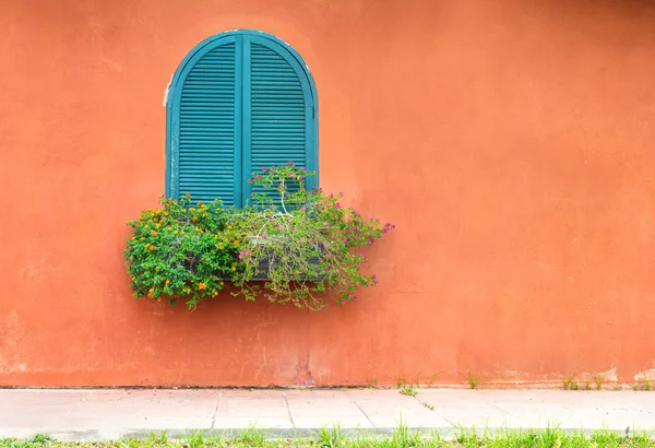 Fenêtre vintage bleue avec boîte à fleurs en bois sur mur orange — Photo