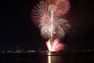 Çiçek açan havai fişek kutlama gece rengini karışık