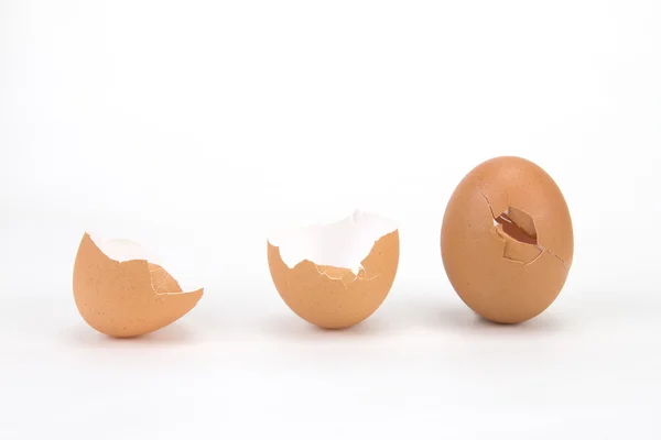 Brokken och spruckna ägg skal på vit bakgrund — Stockfoto