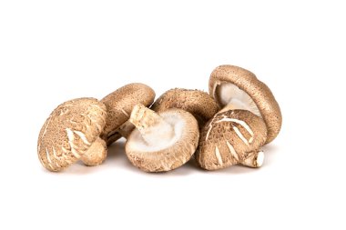 Beyaz arka plan üzerinde Çin mantar