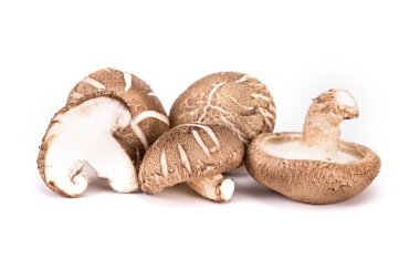 Beyaz arka plan üzerinde Çin mantar