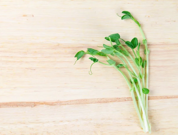 Closeup groene erwt sprout op houten achtergrond — Stockfoto