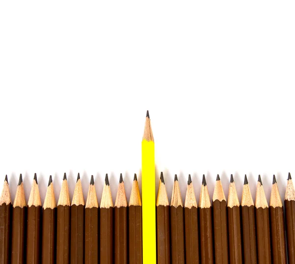 木制铅笔安排与一条不同的作为一种象征 — 图库照片