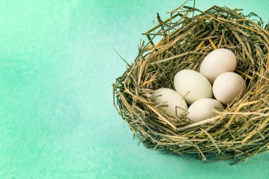 çalı çırpı ile beyaz yumurta yuva
