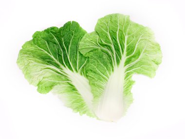 Beyaz bir arka plan üzerinde taze Çince lahana yaprağı