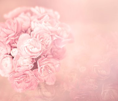 taş levha zemin üzerine taze pembe karanfil çiçek