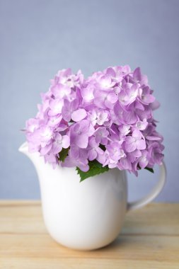 seçici odak tatlı mor ortanca çiçek beyaz aranjman