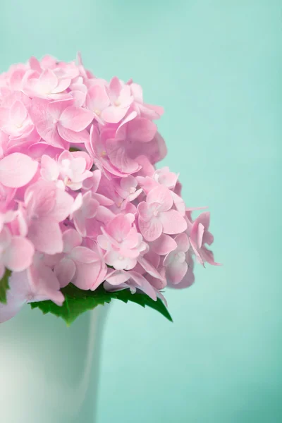 The sweet pink  hydrangea flowers in white vase , vintage style — Stock Photo, Image