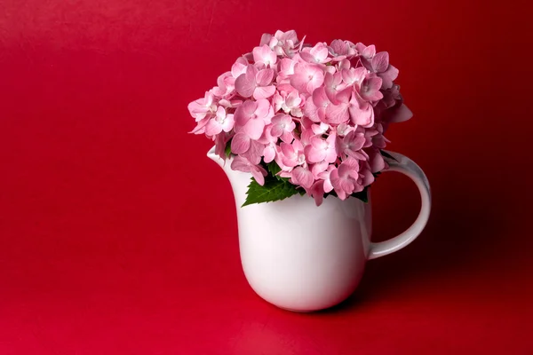 Bodegón de flores de hortensia dulce en jarrón blanco en la espalda roja —  Fotos de Stock