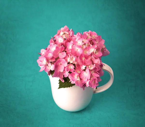 Sladká hydrangea květiny v bílé vázy — Stock fotografie