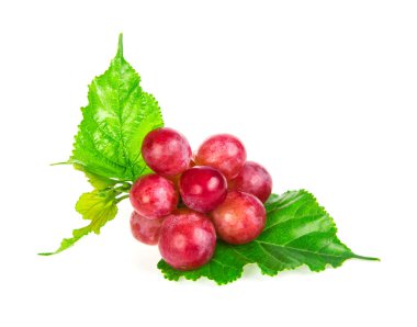 Beyaz arkaplanda izole kırmızı üzümler