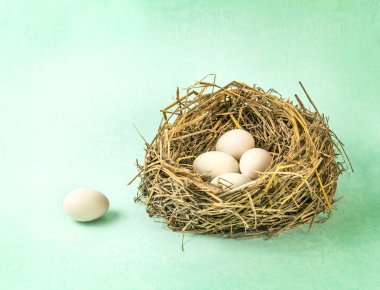 dal grunge backgroung beyaz yumurta ile iç içe