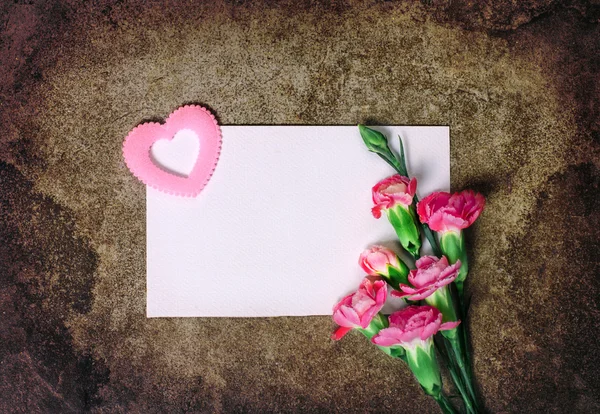 新鮮なピンクのカーネーションの花とコピーの s 以上の領域の空白のカード — ストック写真