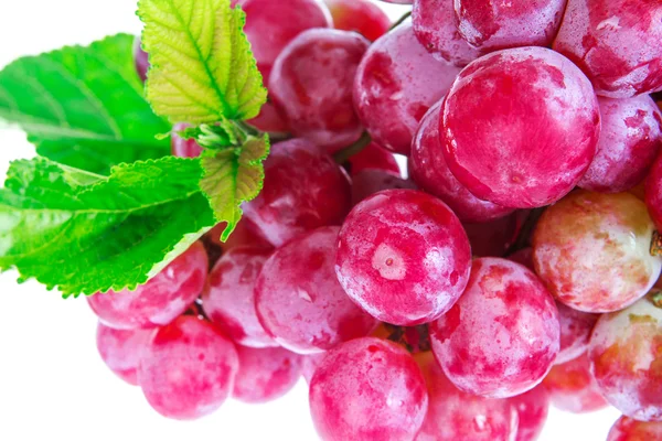 Selective focus of red grapes on white background — Stock Photo, Image