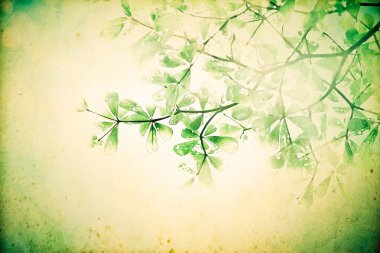 Şube ağaç yaprak retro renk tonuyla antika arka plan