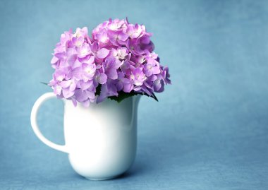 tatlı ortanca çiçekleri beyaz aranjman