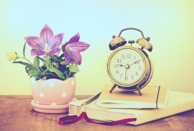 Mor balon çiçek ya da sevimli Platycodon grandiflorus çiçek 