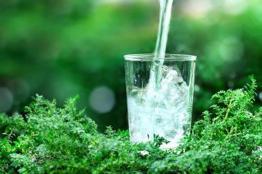 doğal yeşil zemin üzerine serin temiz su