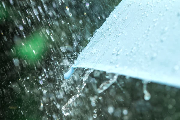 selective focus for close up a part of umbrella which has Rain d