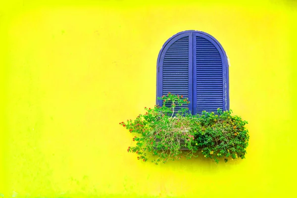 Viola finestra vintage blu con scatola di fiori in legno su giallo vibrante — Foto Stock