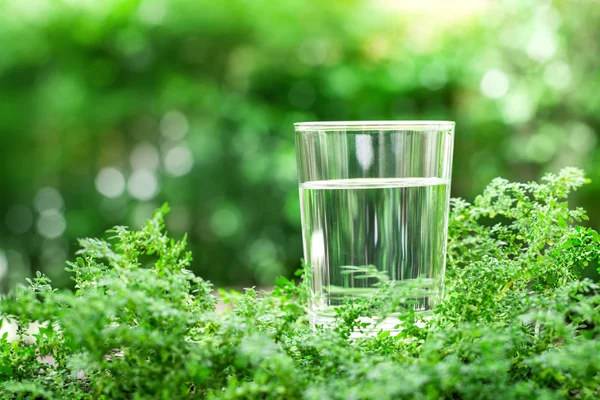 Un bicchiere di acqua fresca fresca su fondo verde naturale — Foto Stock