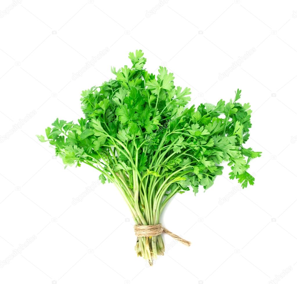Fresh Green parsley on  white background