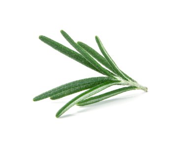 Beyaz bir arka plan üzerinde taze yeşil biberiye