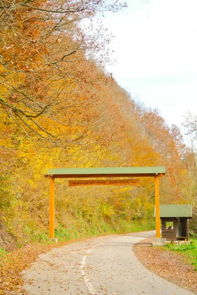 Belépés Nemzeti Parkba Kozara Hegyen Őszi Erdő Színes Sárga Narancssárga — Stock Fotó